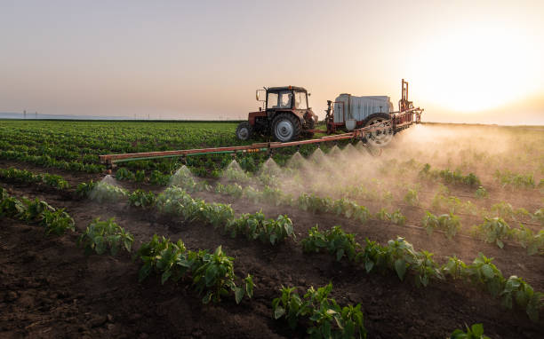 Insect Control in Morenci, MI