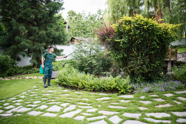 Best Pest Control Near Me  in Morenci, MI
